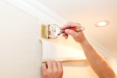 Pose de papier peint à Bourisp — revêtements muraux et toiles de verre